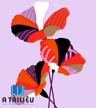 adobe illustrator 2020
